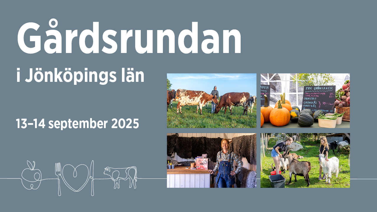 Fyra små bilder från gårdsmiljöer på en grå bakgrund. Text Gårdsrundan 2025. 14 - 15 september.