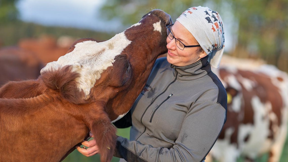 Bild från Region Jönköpings län